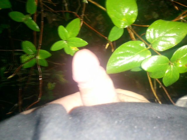Photo of a third leg from MRDICK69