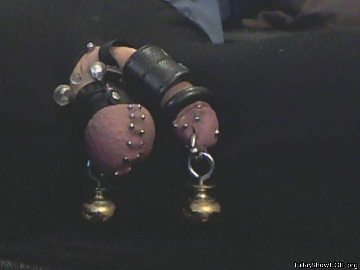 pierced weighted strapped up cock