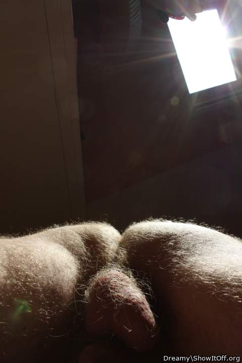 Testicles Photo from Dreamy