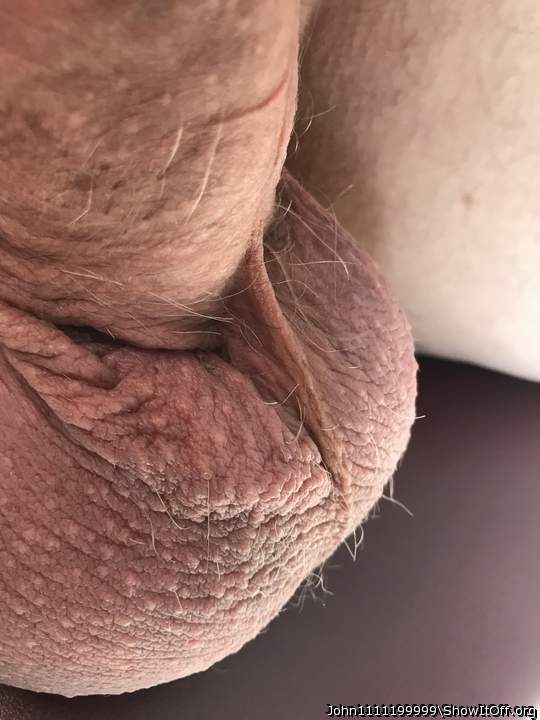 Yum, yum, scrotum!   