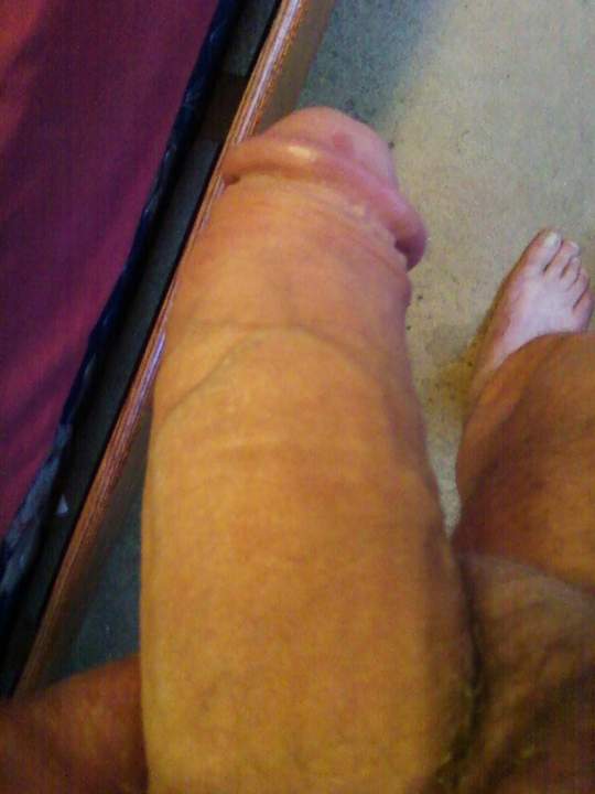 Photo of a ram rod from CLinz49