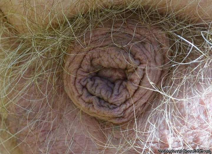 believe it -- this is a dick !