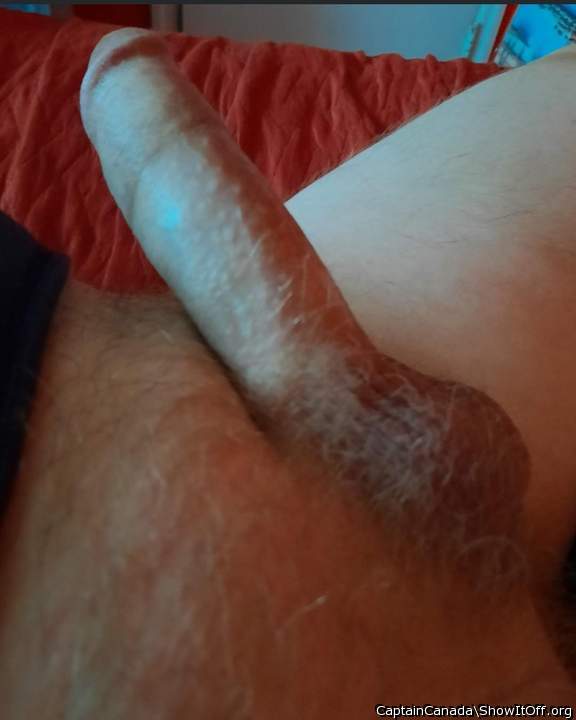 Left Leaning Thick Cock