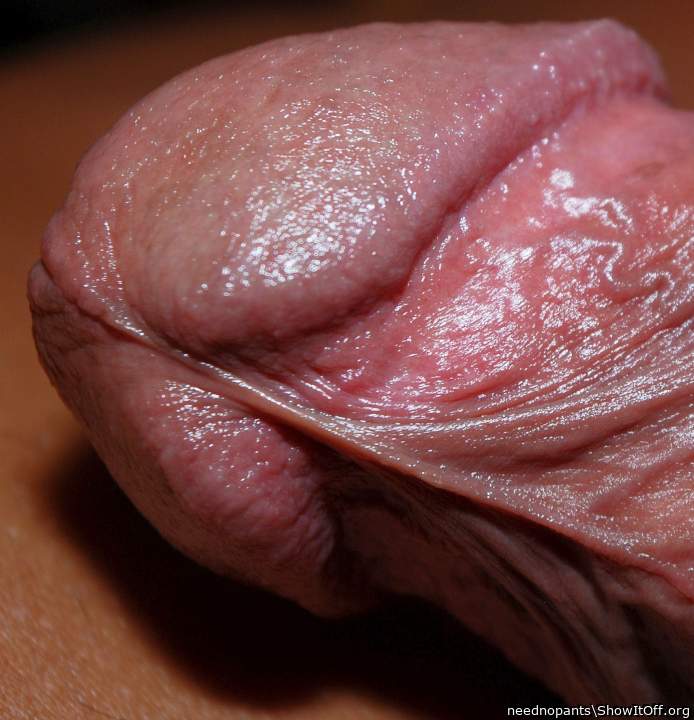 Photo of a rooster from neednopants