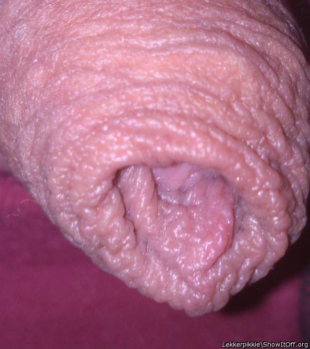 Photo of a ram rod from lekkerpikkie