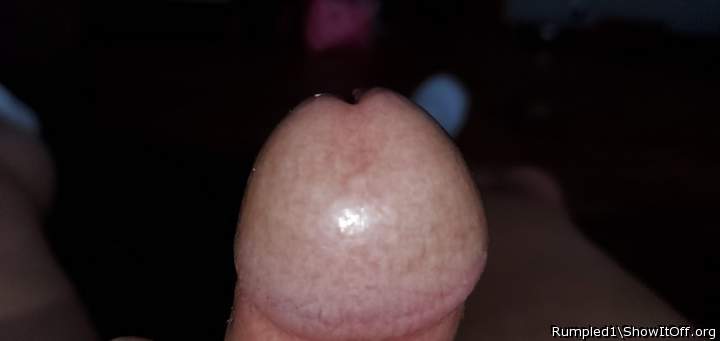 Photo of a pocket rocket from Rumpled1