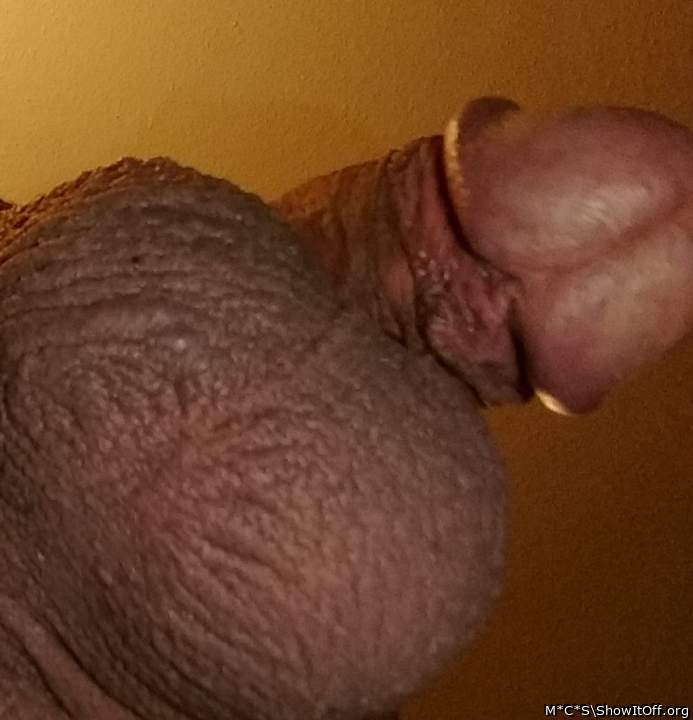 Photo of a wiener from M*C*S