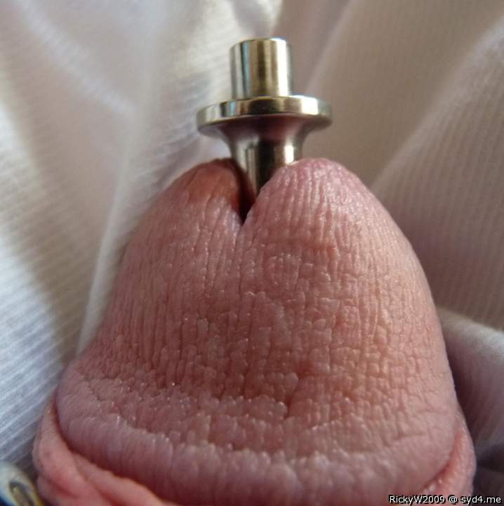 Urethra pacifier