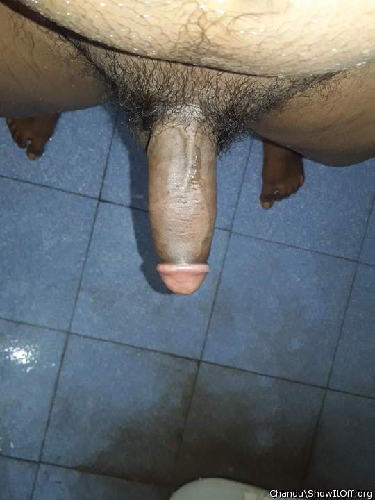 Photo of a stiffie from Chandu