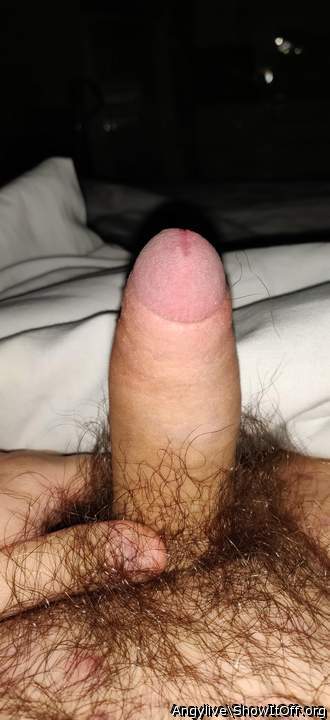 Photo of a tool from Angylive