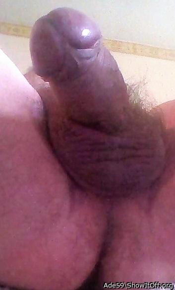 Photo of a snake from Ade59