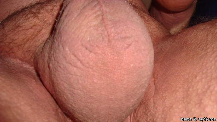 Photo of a dong from heine