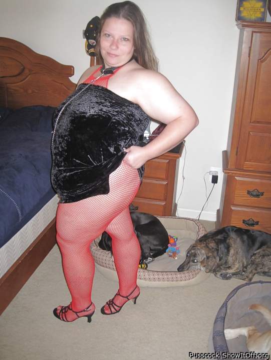 Photo of a thing from Pusscock