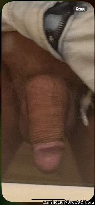 Photo of a bat from cumshotguy