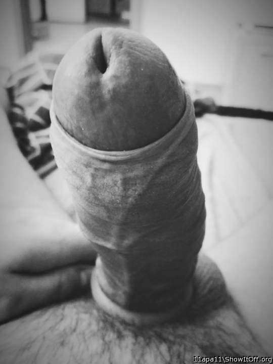 Photo of a dick from 11apa11