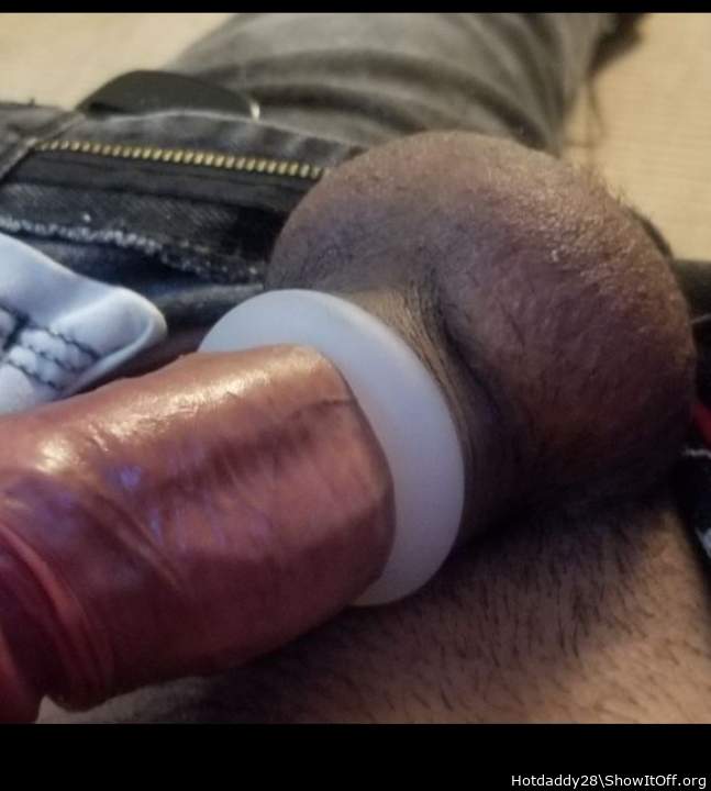 Photo of a cavalier from Hotdaddy28