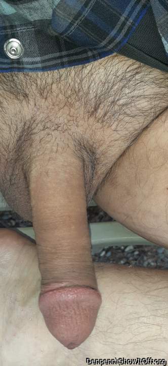 Beautiful cock !