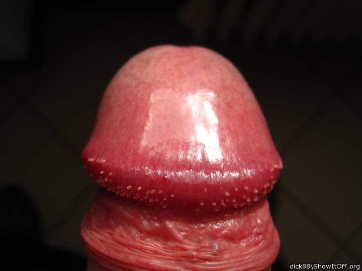 Photo of a joystick from Dick88