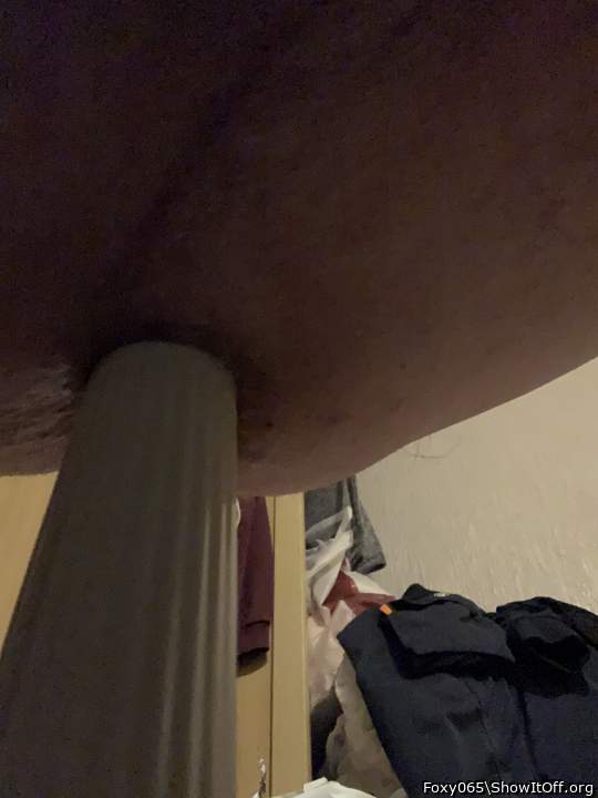 Photo of a cavalier from Foxy065