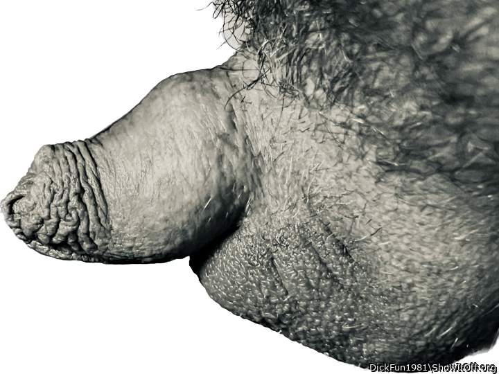 Photo of a bat from DickFun1981