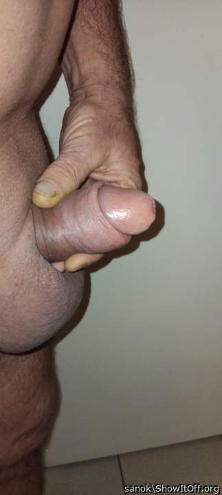 Penis