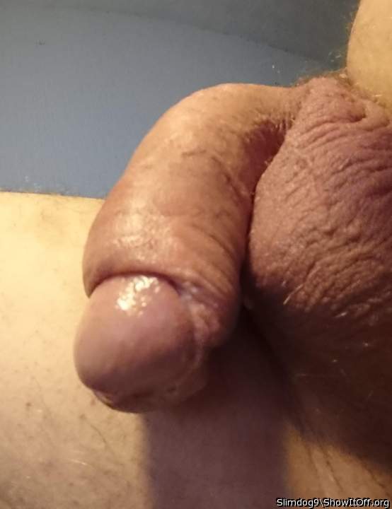 Photo of a third leg from slimdog9