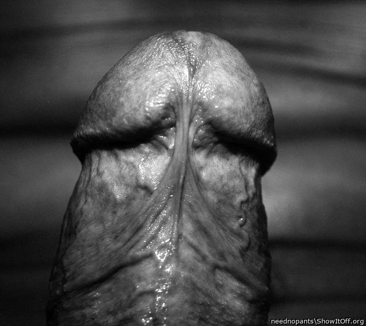 Photo of a horn from neednopants