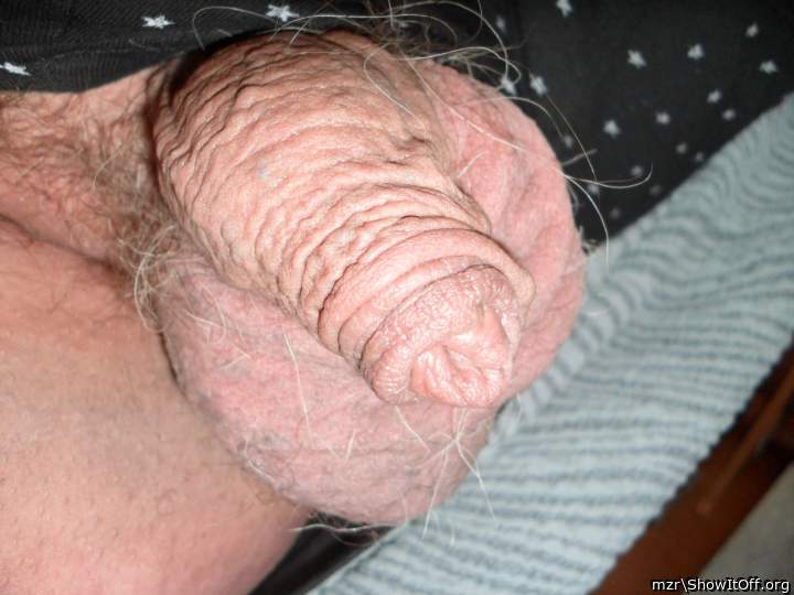 Photo of a cock from mzr