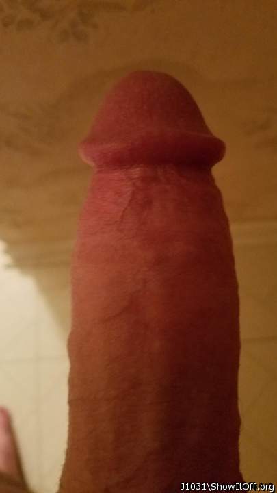 Photo of a tool from J1031