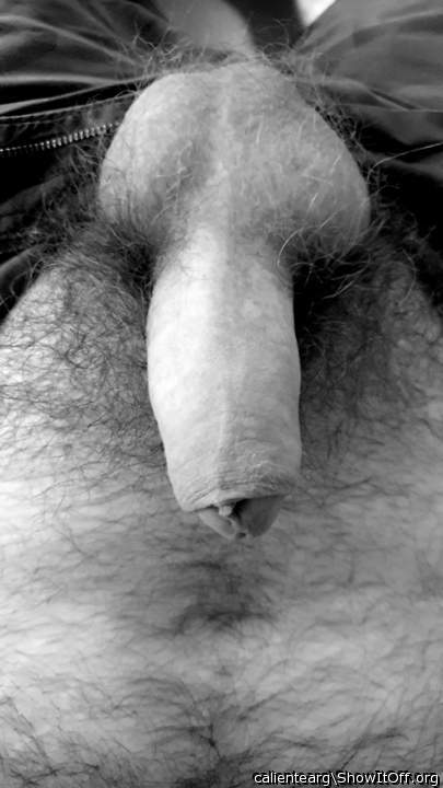 Photo of a dong from calientearg