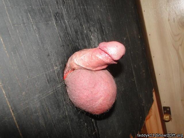 Testicles Photo from teddyk13