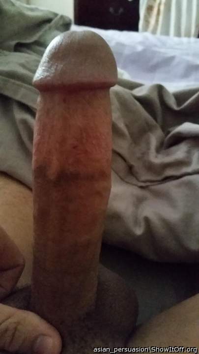 horny hard dick