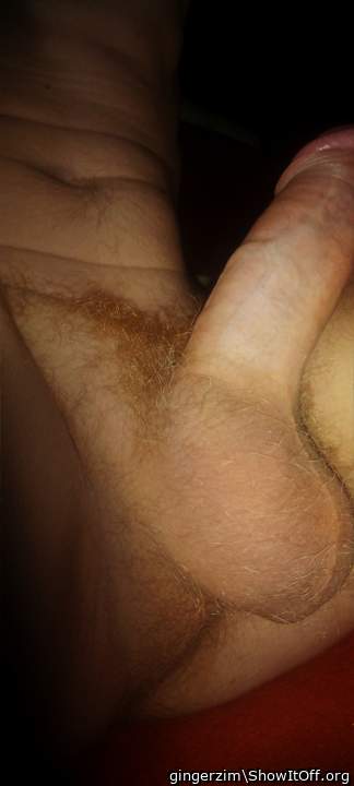 Photo of a ram rod from gingerzim