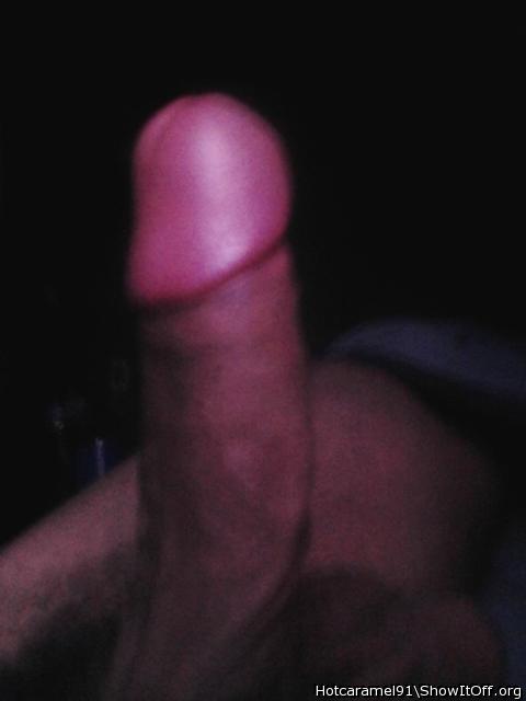 Photo of a weasel from Hotcaramel91