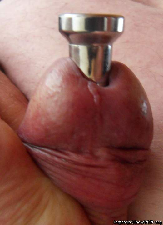 Penis Plug 17mm