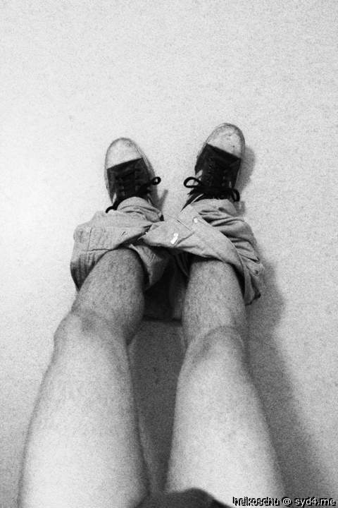 legs