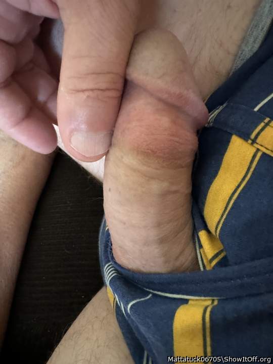 Photo of a python from Mattatuck06705