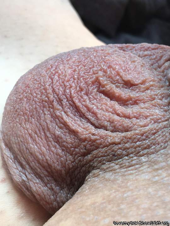 Yum, yum, scrotum!