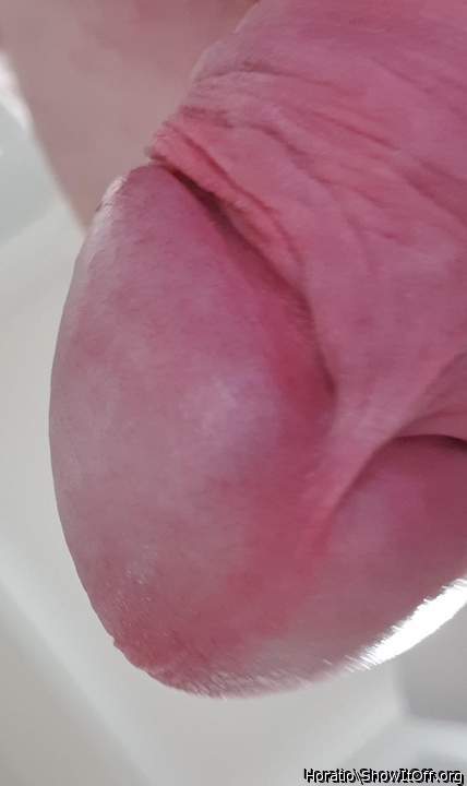 Photo of a dick from Horatio