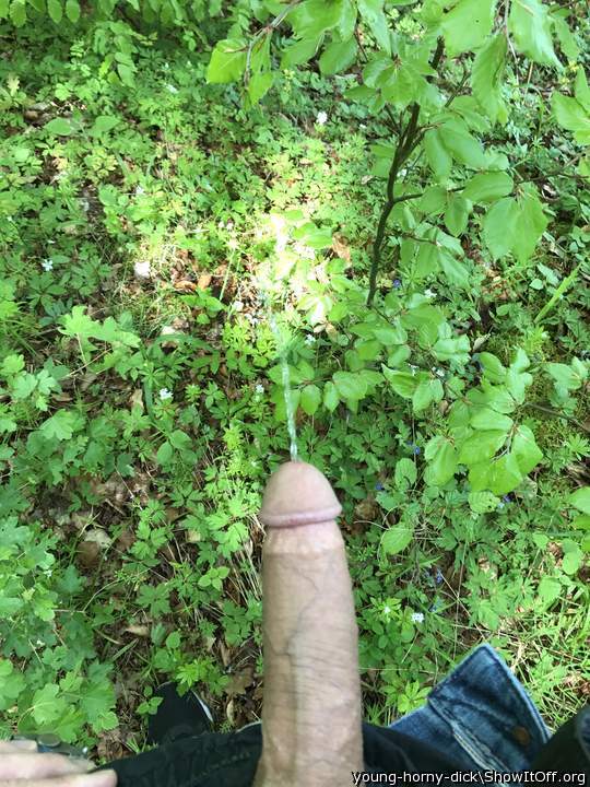 Peeing in the woods