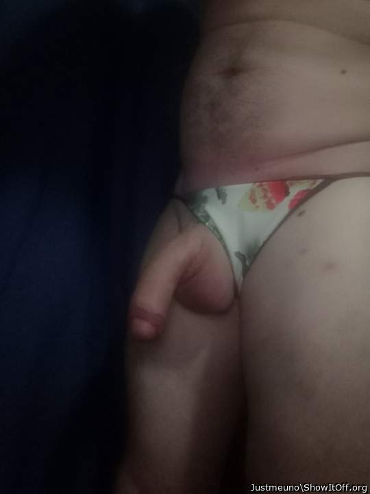 Photo of a weasel from Justmeuno