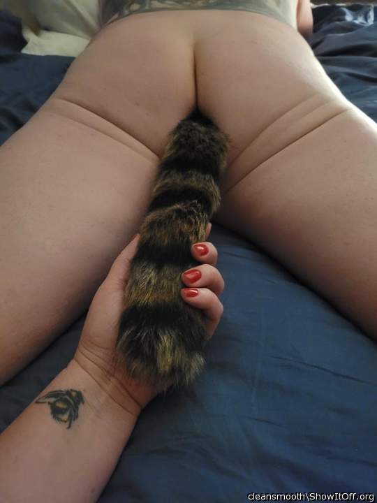 Catch a tiger by the tail