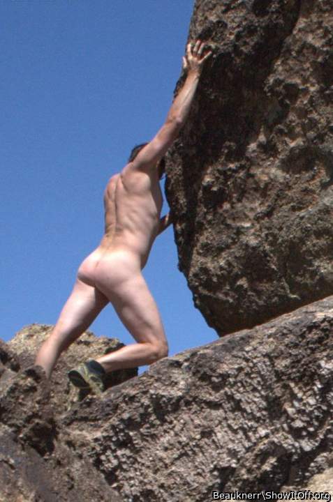 Photo of a lizard from Beauknerr