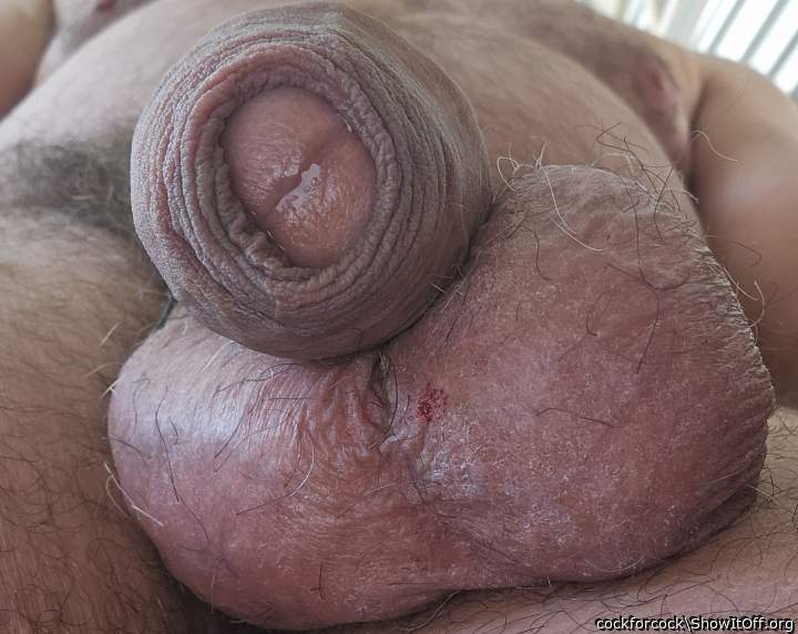 what a beautiful shot! love to fondle your sweet package!  