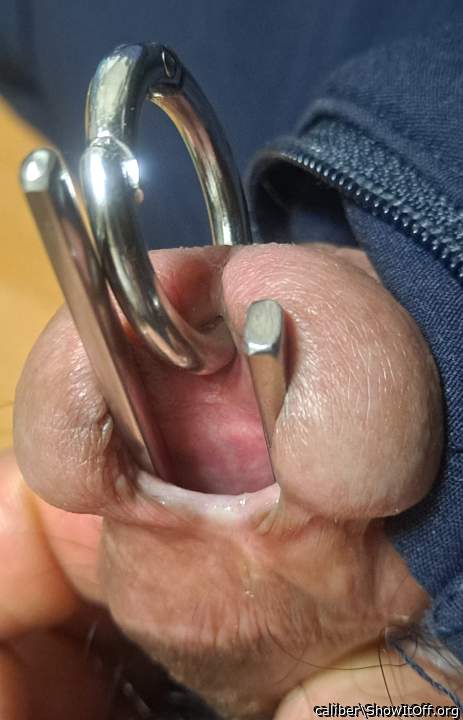 Photo of a snake from caliber