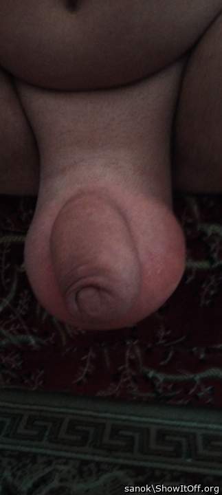 Testicles Photo from sanok