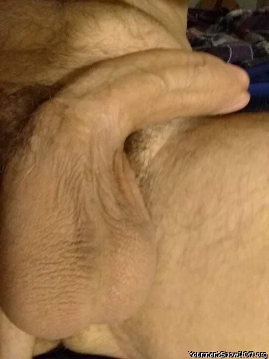 Photo of a hot dog from Yourman