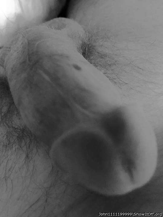 Photo of a bald-headed mouse from John1111199999