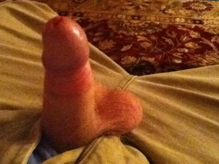 Photo of a cock from PoopSmith