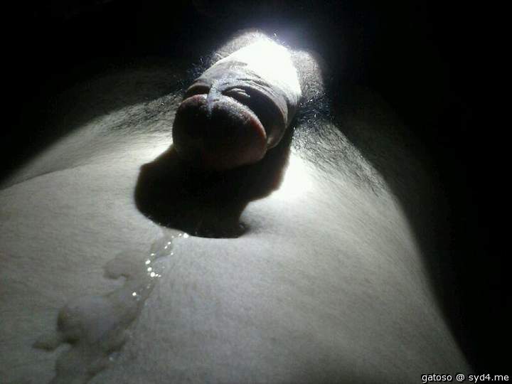 Photo of a pecker from gatoso